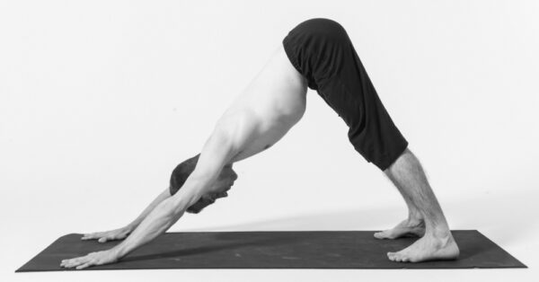 Yoga Postures For a Healthy Lifestyle