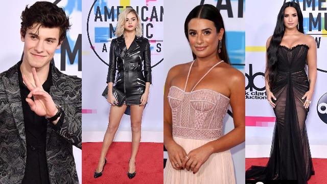 Selena Gomez, Renée Bargh, Lea Michele Hit The Red Carpet In Style at American Music Awards 2017