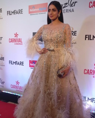Sridevi Filmfare Glamour & Style Awards