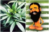 Why Baba Ramdev’s Patanjali Wants Marijuana To Be Legalised In India? Read On!