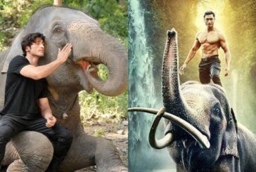 Junglee Review{1.5/5}: Vidyut Jammwal’s Film With An Environment-Friendly Message Is Quite A Let Down